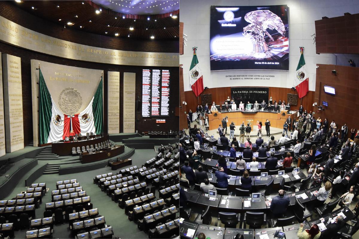 img_noticia